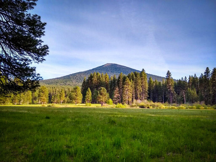 The Bite: How I got hooked on fly fishing and life